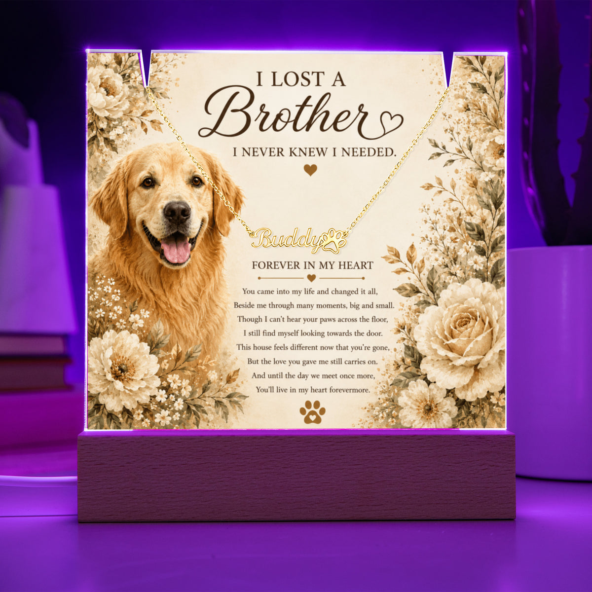 Personalized Pet Memorial Keepsake with Paw Print Name Necklace