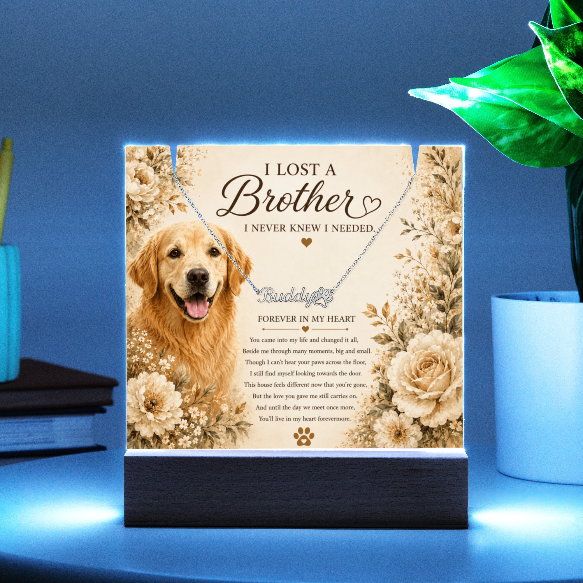 Personalized Pet Memorial Keepsake with Paw Print Name Necklace