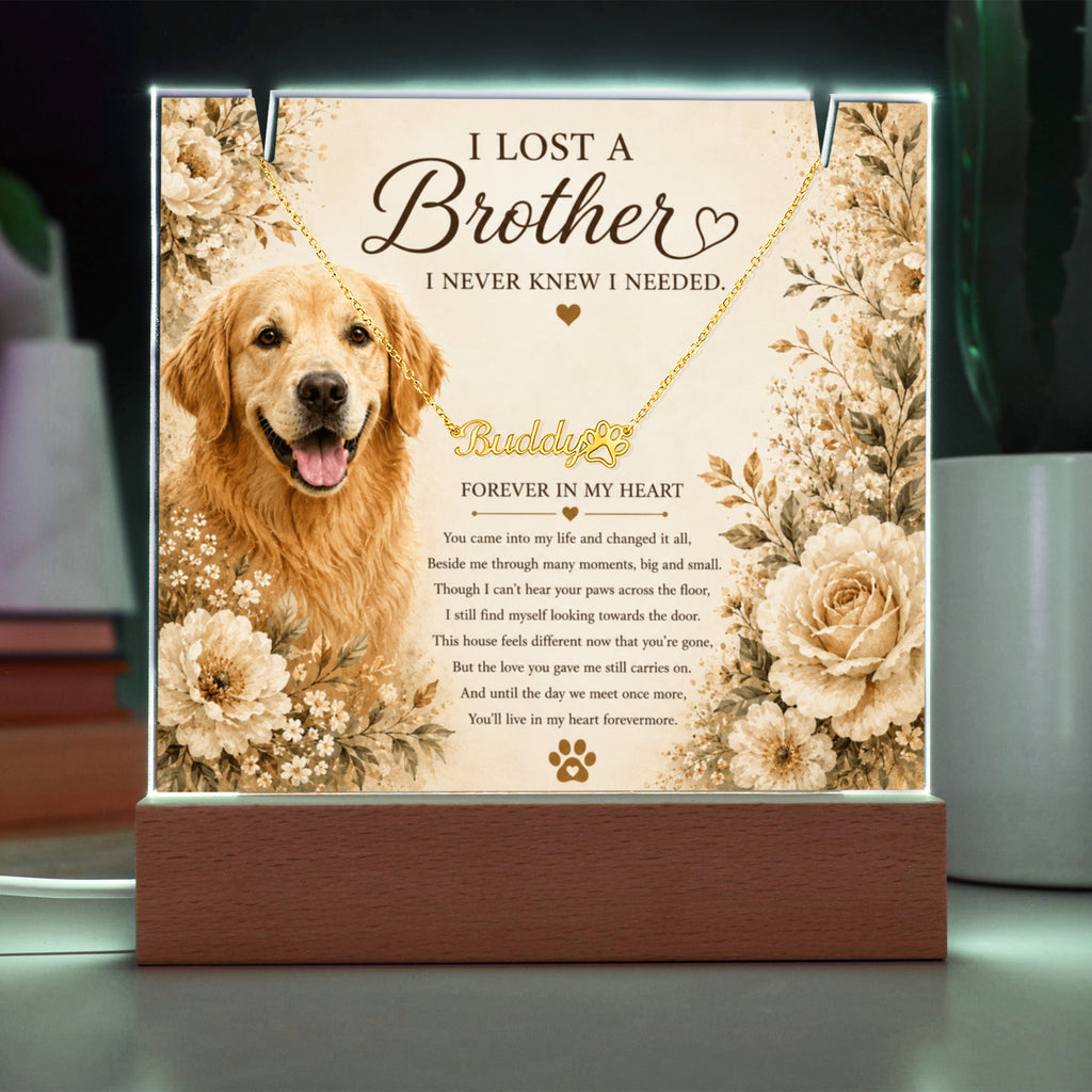 Personalized Pet Memorial Keepsake with Paw Print Name Necklace